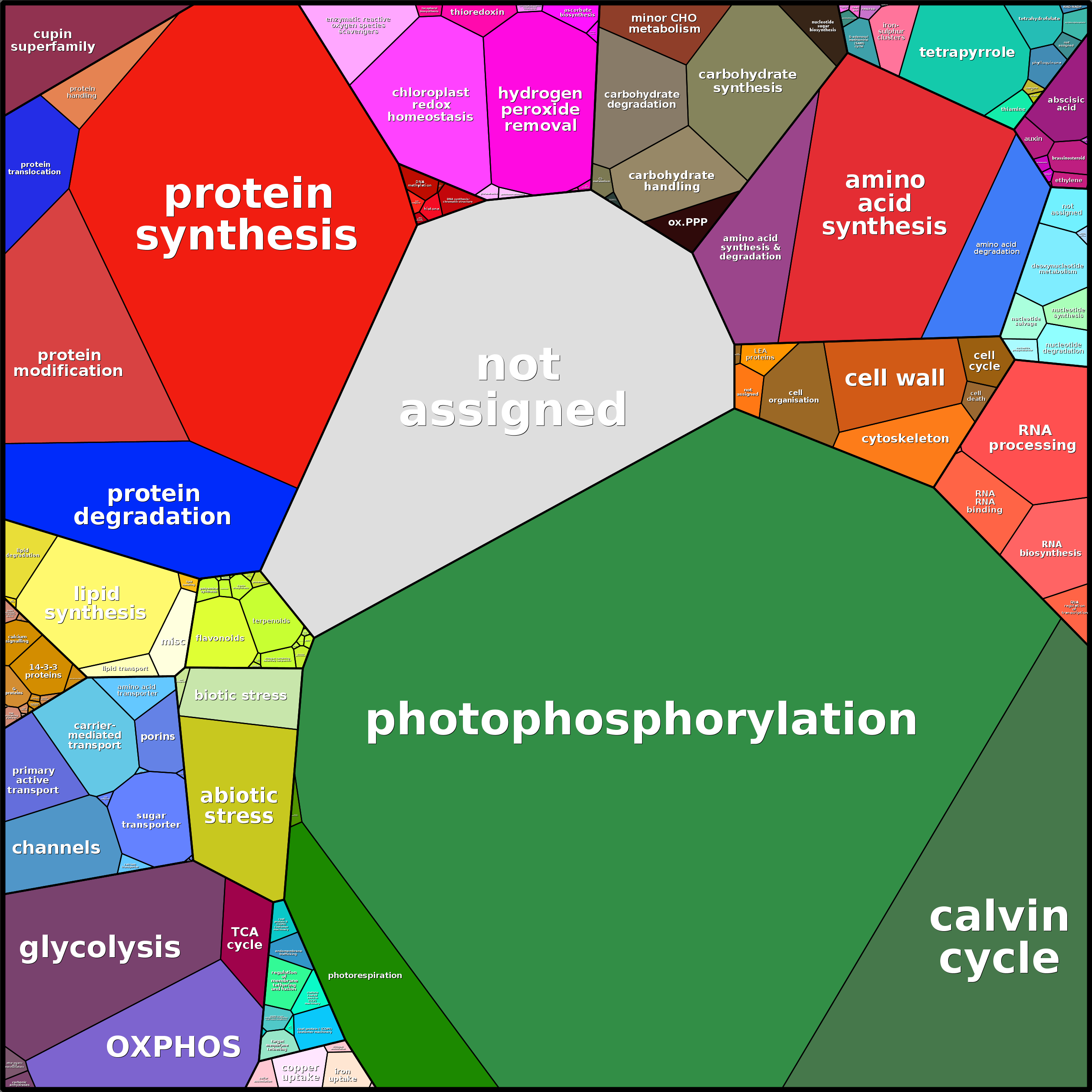 Treemap Press Ctrl-F5
