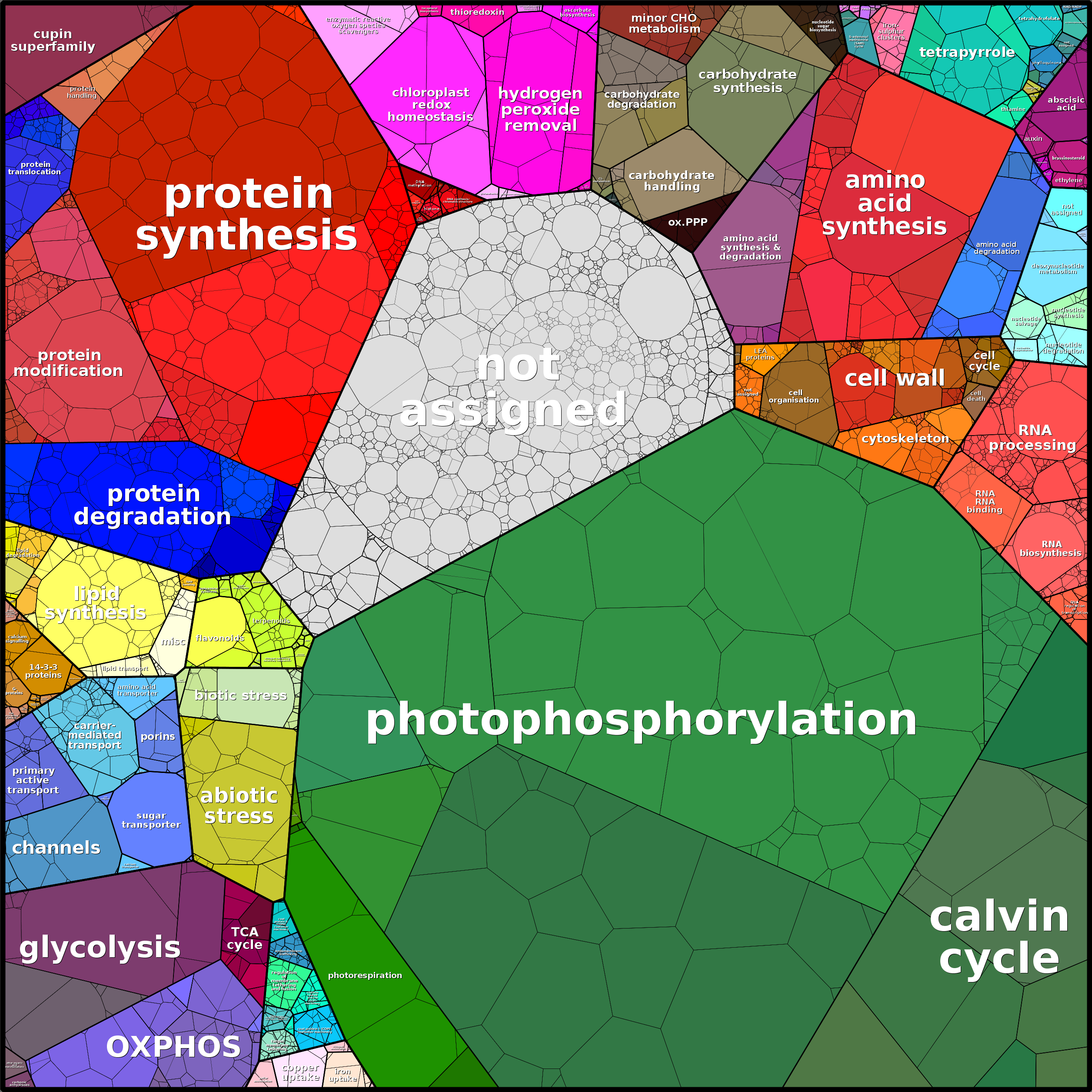 Treemap Press Ctrl-F5
