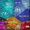 Total_FS