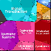 DB_TP-M
