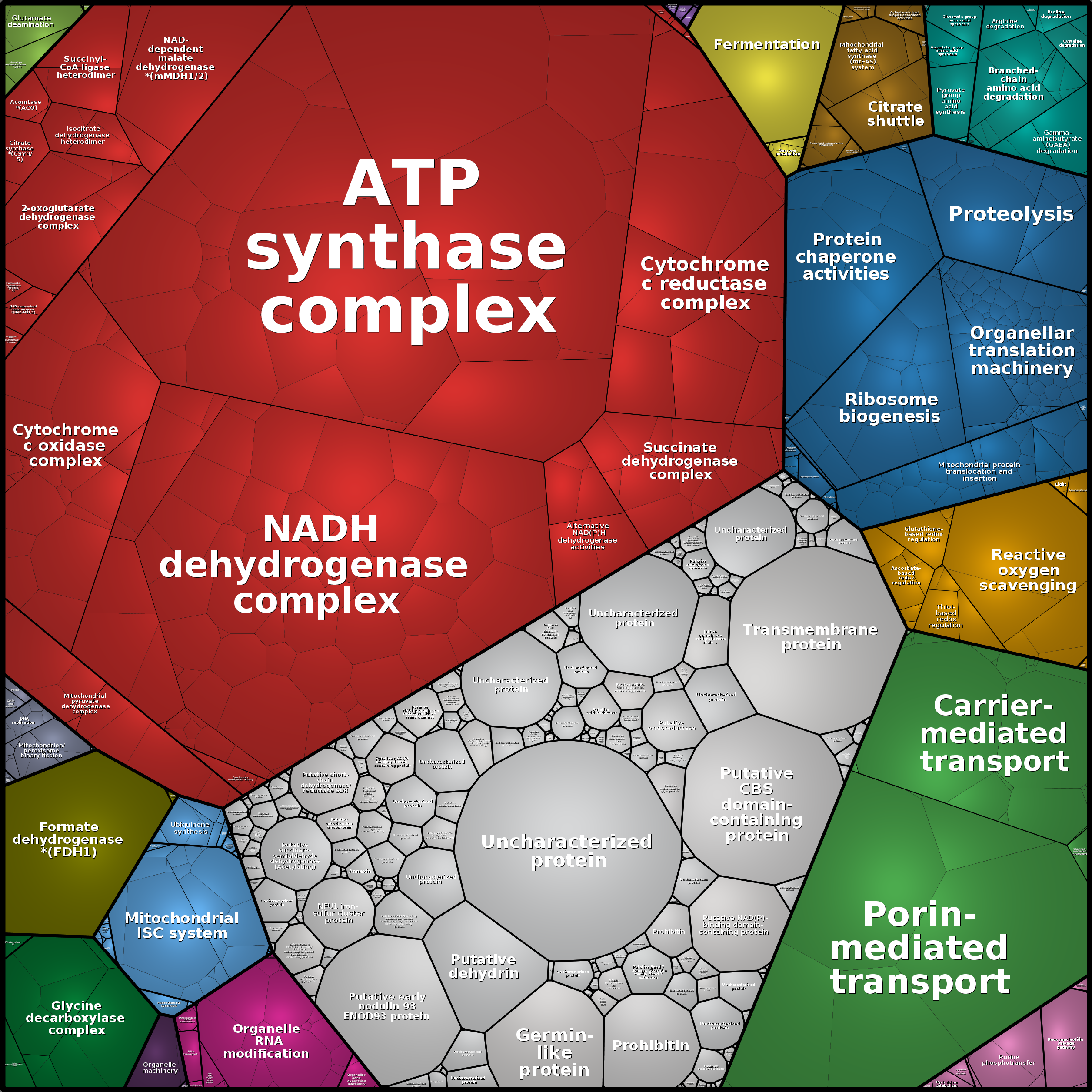 Treemap Press Ctrl-F5