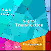 Dapixiu_CTR50_2