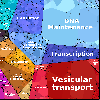 zzw-BNK-20261006