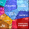 zzw-CMP-20261006