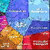 zzw-MEP-20261006