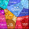 zzw-Neu-20261006