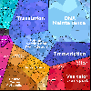 zzw-MLP-20261006