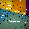 lb37