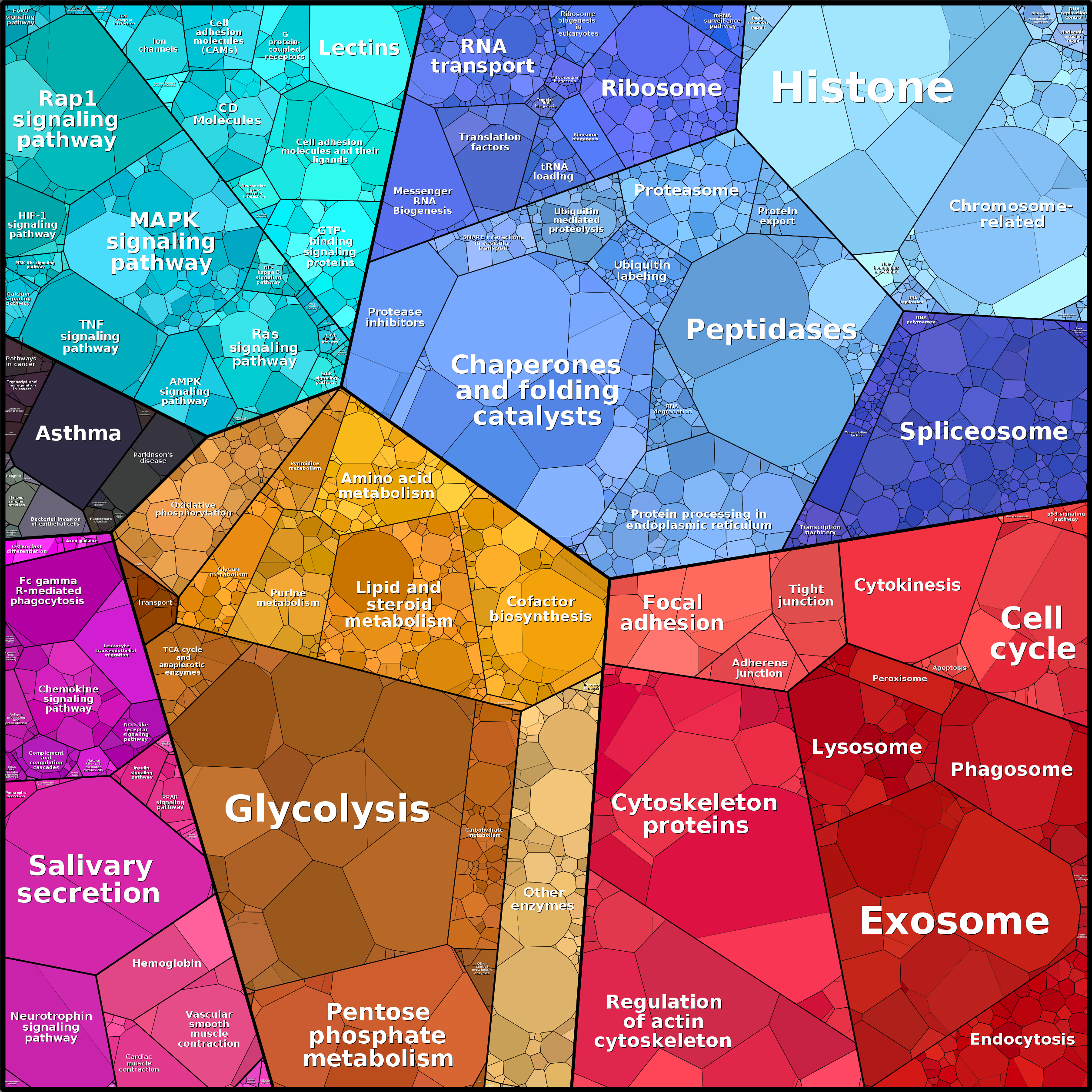 Treemap Press Ctrl-F5
