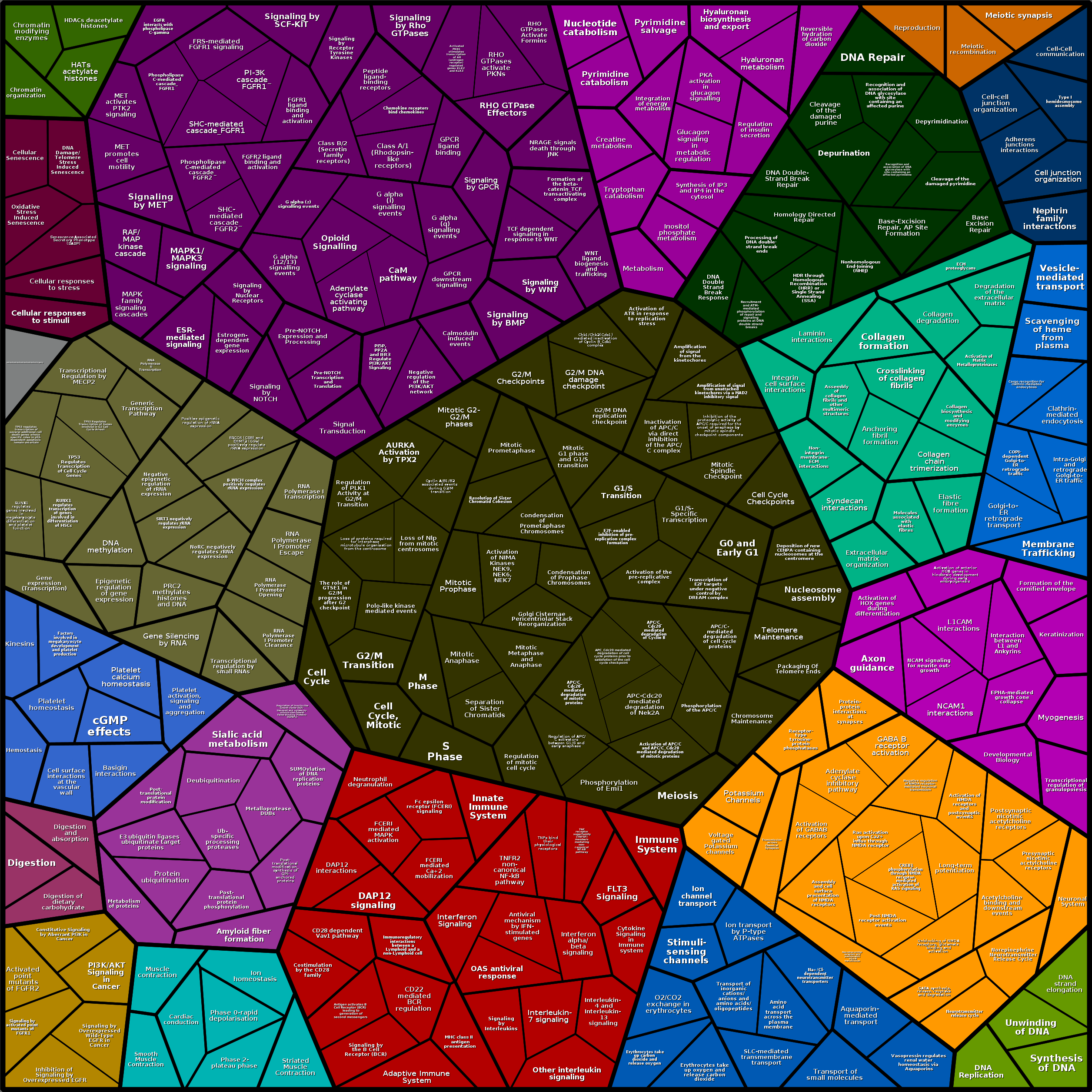 Treemap Press Ctrl-F5