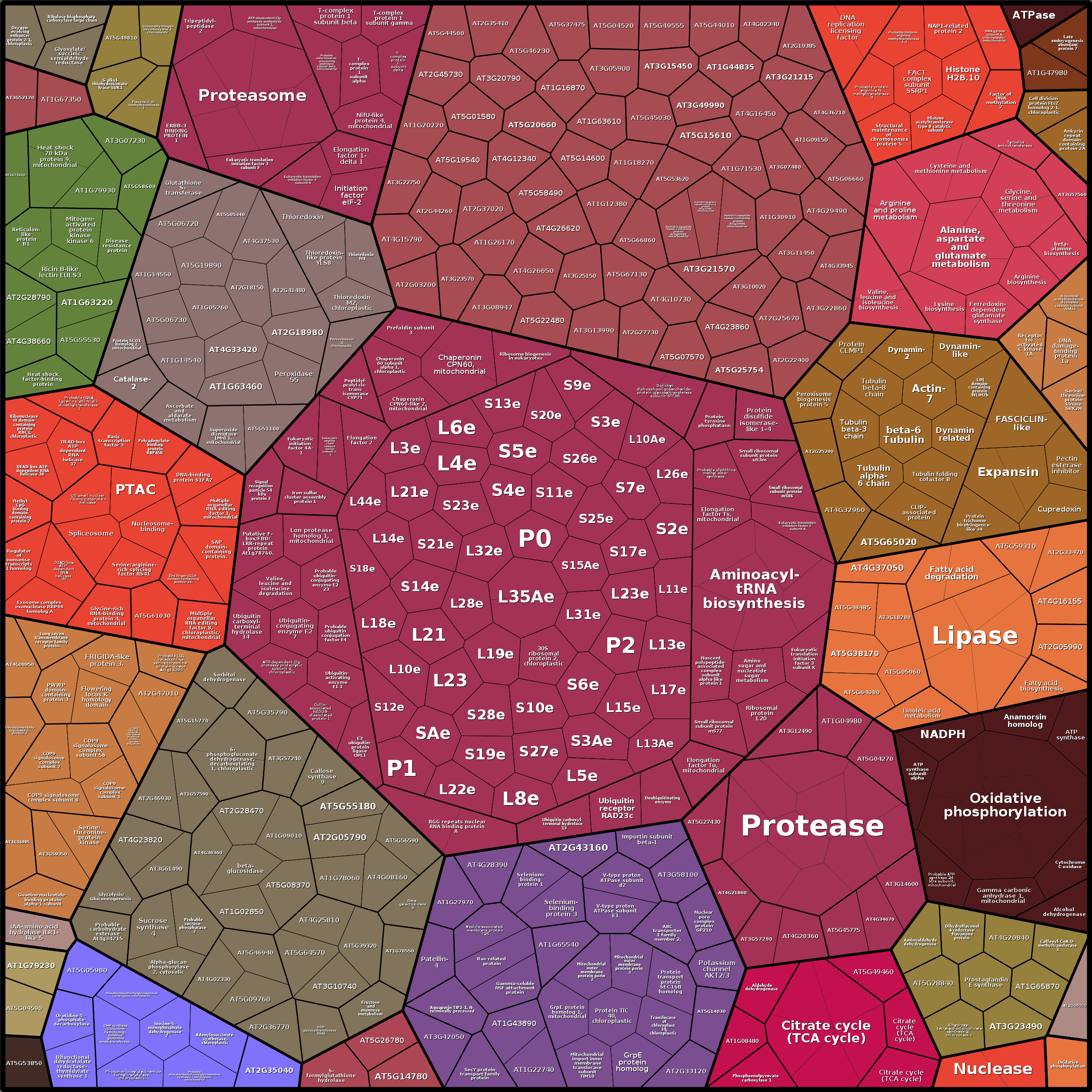 Treemap Press Ctrl-F5