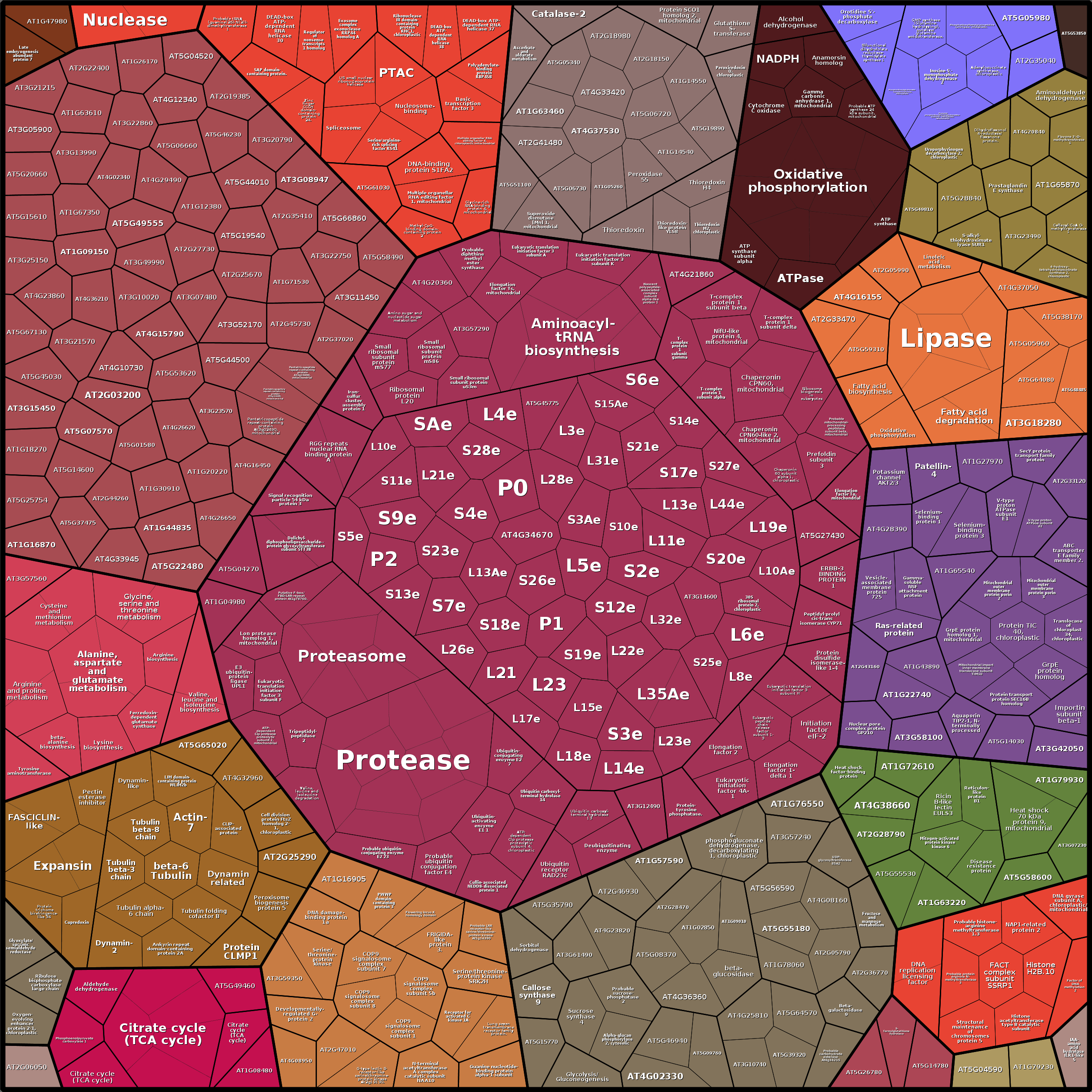 Treemap Press Ctrl-F5