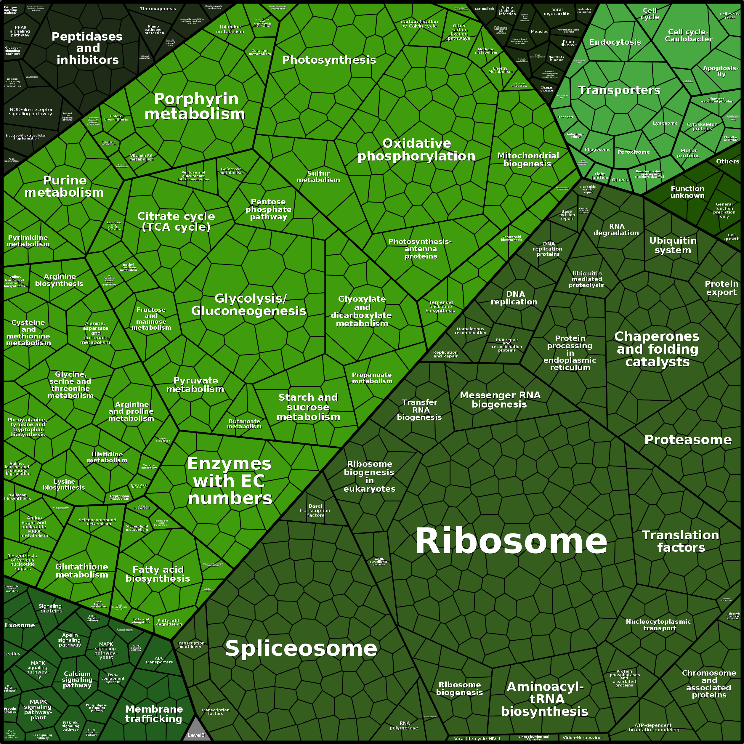 Treemap Press Ctrl-F5