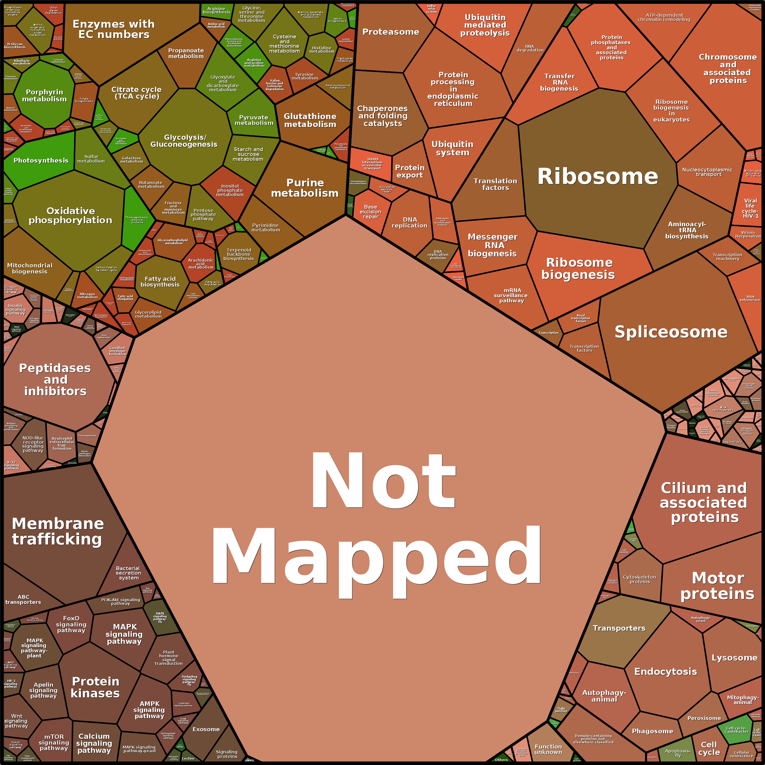 Treemap Press Ctrl-F5