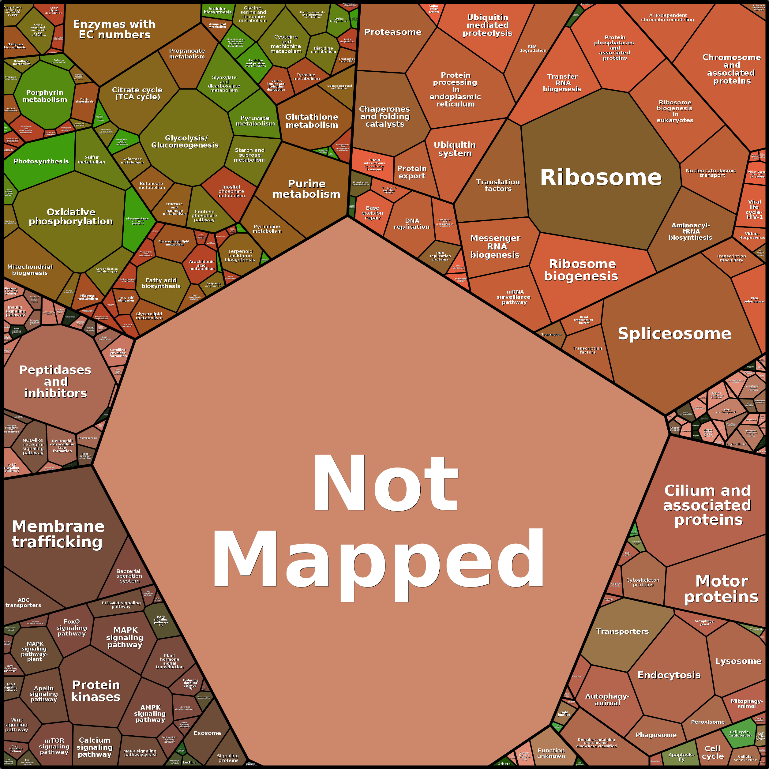 Treemap Press Ctrl-F5