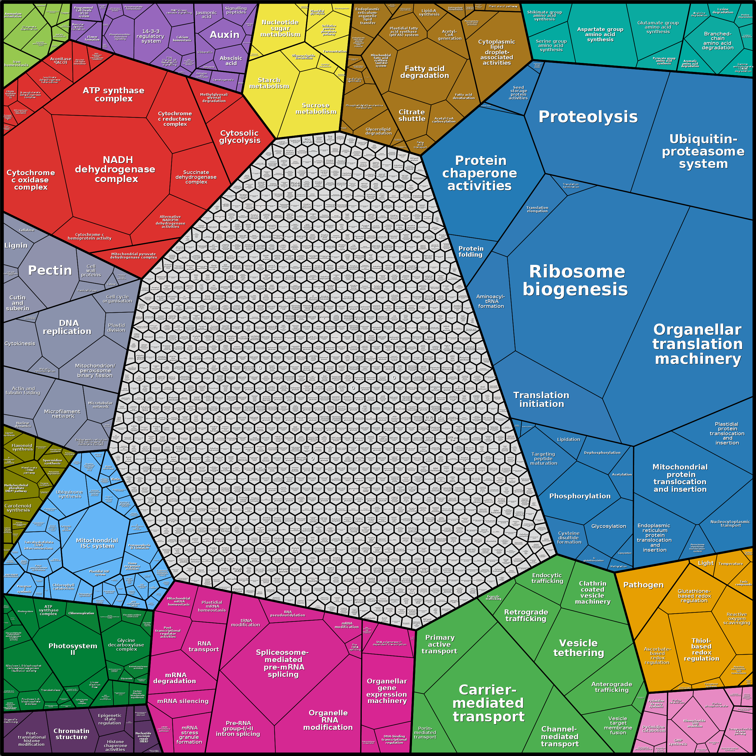 Treemap Press Ctrl-F5