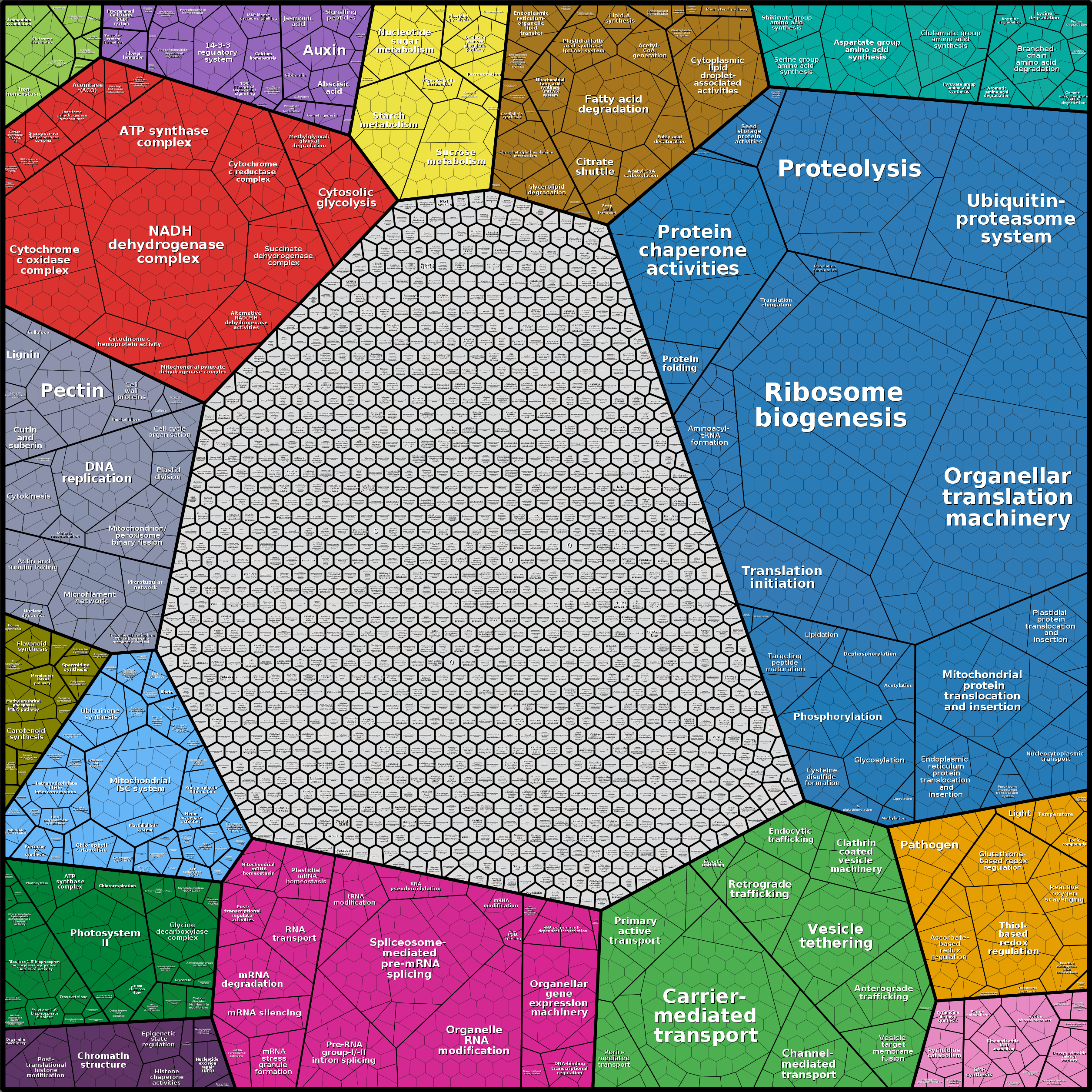 Treemap Press Ctrl-F5