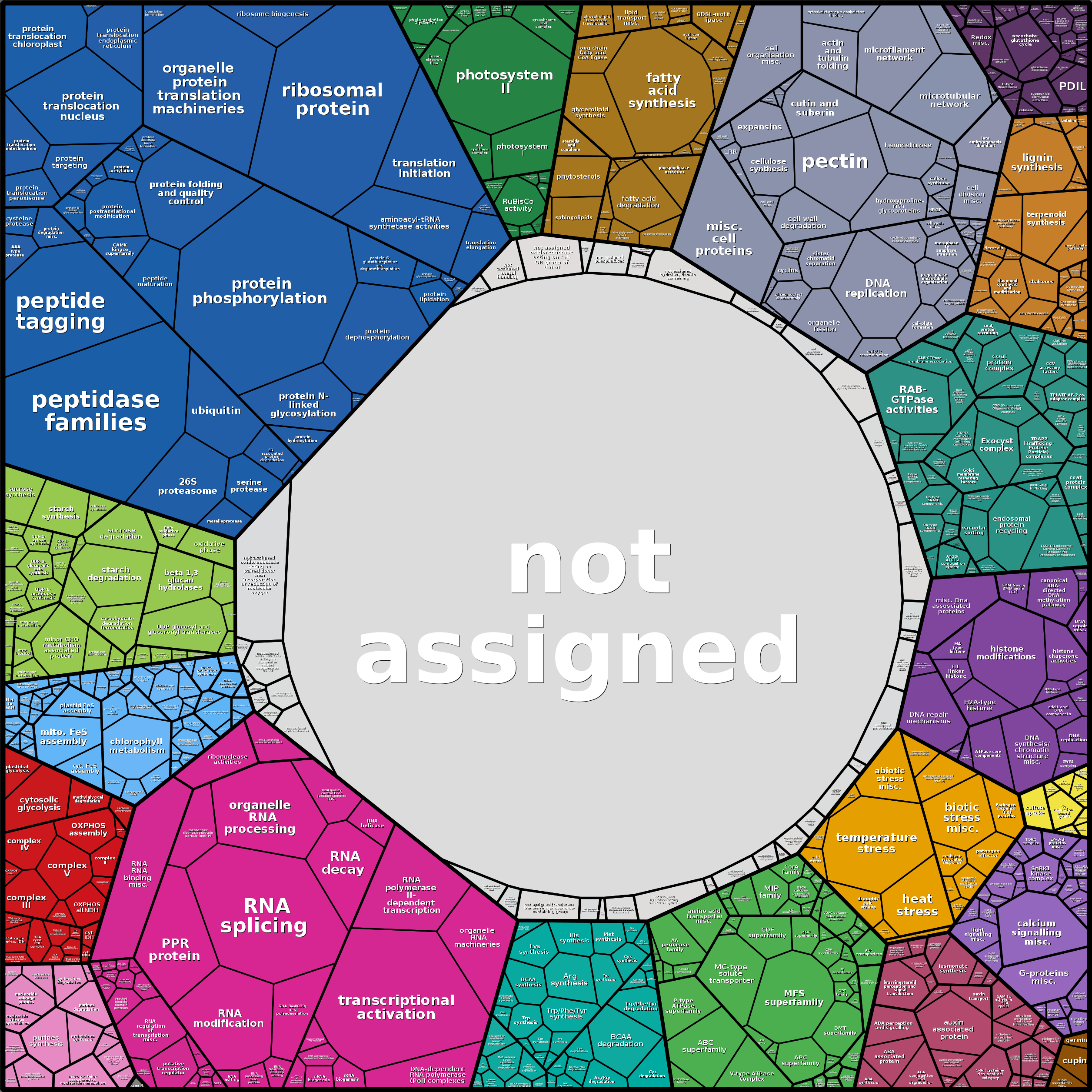 Treemap Press Ctrl-F5